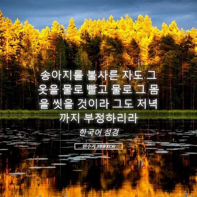 Picture 05 - 민수기 19:8 KOR - 송아지를 불사른 자도 그 옷을 물로 - Bible Verse Picture