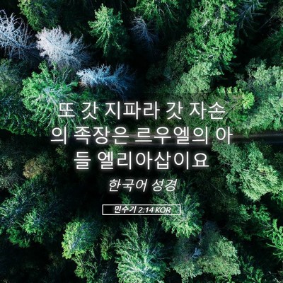Picture 05 - 민수기 2:14 KOR - 또 갓 지파라 갓 자손의 족장은 - Bible Verse Picture