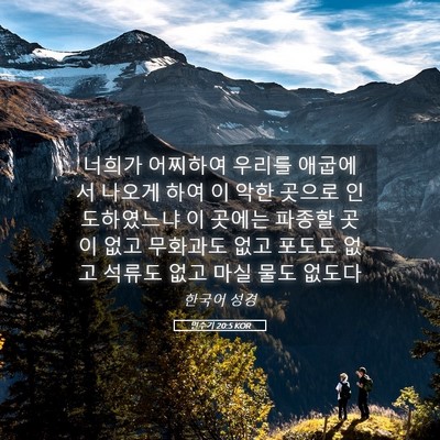 Picture 05 - 민수기 20:5 KOR - 너희가 어찌하여 우리를 애굽에서 - Bible Verse Picture