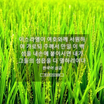 Picture 05 - 민수기 21:2 KOR - 이스라엘이 여호와께 서원하여 - Bible Verse Picture