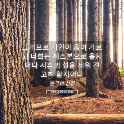 Picture 05 - 민수기 21:27 KOR - 그러므로 시인이 읊어 가로되 너희는 - Bible Verse Picture