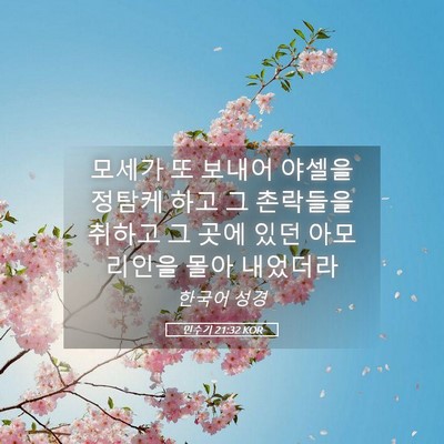Picture 05 - 민수기 21:32 KOR - 모세가 또 보내어 야셀을 정탐케 - Bible Verse Picture