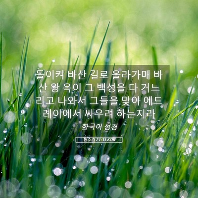 Picture 05 - 민수기 21:33 KOR - 돌이켜 바산 길로 올라가매 바산 왕 - Bible Verse Picture