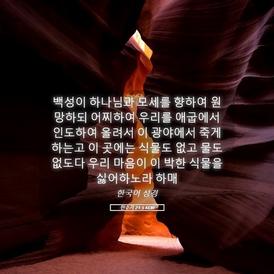 Picture 05 - 민수기 21:5 KOR - 백성이 하나님과 모세를 향하여 - Bible Verse Picture