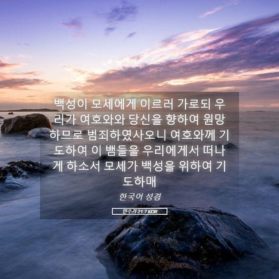 Picture 05 - 민수기 21:7 KOR - 백성이 모세에게 이르러 가로되 - Bible Verse Picture