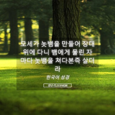 Picture 05 - 민수기 21:9 KOR - 모세가 놋뱀을 만들어 장대 위에 - Bible Verse Picture