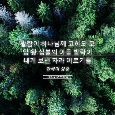 Picture 05 - 민수기 22:10 KOR - 발람이 하나님께 고하되 모압 왕 - Bible Verse Picture