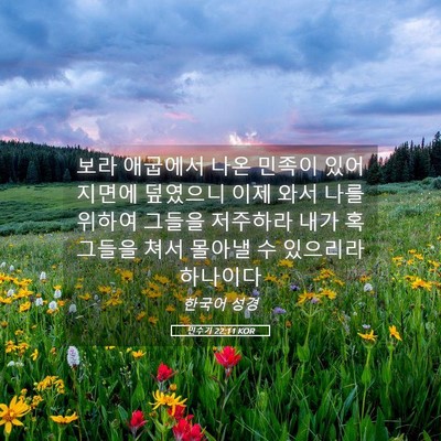 Picture 05 - 민수기 22:11 KOR - 보라 애굽에서 나온 민족이 있어 - Bible Verse Picture