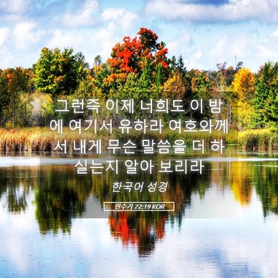 Picture 05 - 민수기 22:19 KOR - 그런즉 이제 너희도 이 밤에 여기서 - Bible Verse Picture