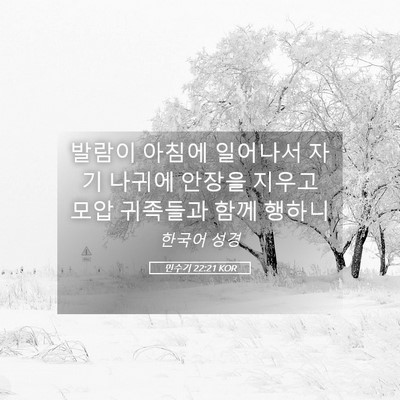 Picture 05 - 민수기 22:21 KOR - 발람이 아침에 일어나서 자기 나귀에 - Bible Verse Picture