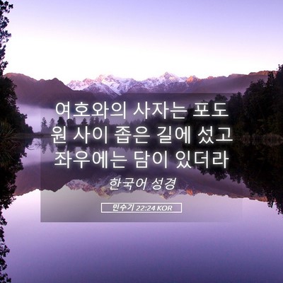 Picture 05 - 민수기 22:24 KOR - 여호와의 사자는 포도원 사이 좁은 - Bible Verse Picture