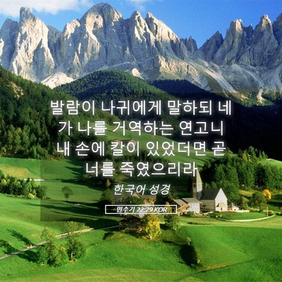 Picture 05 - 민수기 22:29 KOR - 발람이 나귀에게 말하되 네가 나를 - Bible Verse Picture