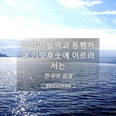 Picture 05 - 민수기 22:39 KOR - 발람이 발락과 동행하여 기럇후솟에 - Bible Verse Picture
