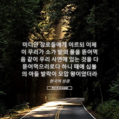 Picture 05 - 민수기 22:4 KOR - 미디안 장로들에게 이르되 이제 이 - Bible Verse Picture