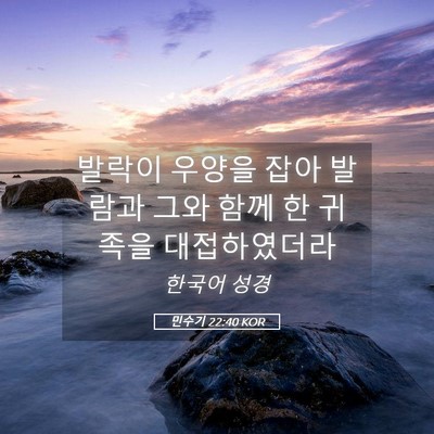 Picture 05 - 민수기 22:40 KOR - 발락이 우양을 잡아 발람과 그와 - Bible Verse Picture