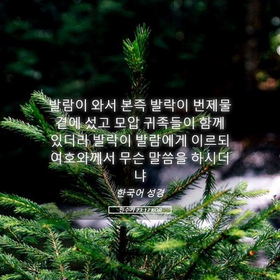 Picture 05 - 민수기 23:17 KOR - 발람이 와서 본즉 발락이 번제물 - Bible Verse Picture
