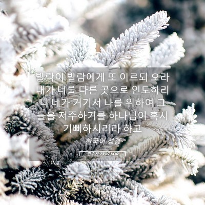 Picture 05 - 민수기 23:27 KOR - 발락이 발람에게 또 이르되 오라 - Bible Verse Picture