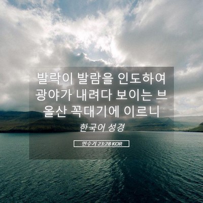 Picture 05 - 민수기 23:28 KOR - 발락이 발람을 인도하여 광야가 - Bible Verse Picture