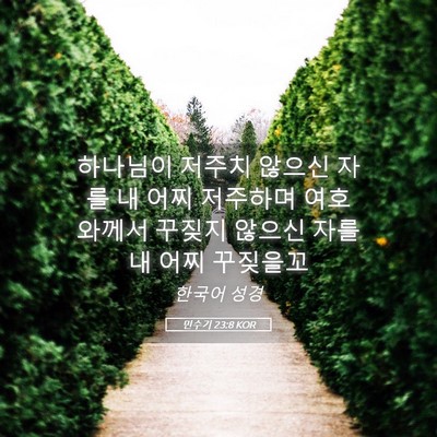 Picture 05 - 민수기 23:8 KOR - 하나님이 저주치 않으신 자를 내 - Bible Verse Picture