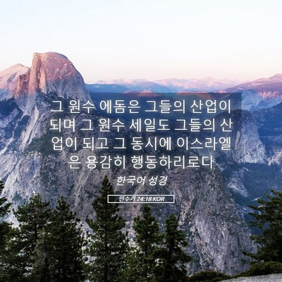 Picture 05 - 민수기 24:18 KOR - 그 원수 에돔은 그들의 산업이 되며 - Bible Verse Picture