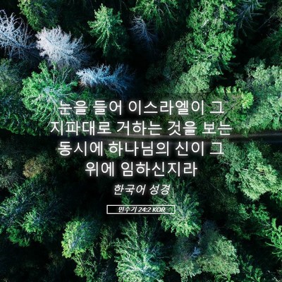 Picture 05 - 민수기 24:2 KOR - 눈을 들어 이스라엘이 그 지파대로 - Bible Verse Picture
