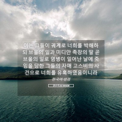 Picture 05 - 민수기 25:18 KOR - 이는 그들이 궤계로 너희를 박해하되 - Bible Verse Picture
