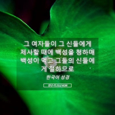 Picture 05 - 민수기 25:2 KOR - 그 여자들이 그 신들에게 제사할 - Bible Verse Picture