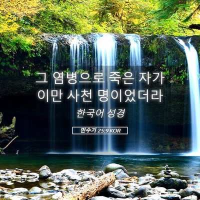 Picture 05 - 민수기 25:9 KOR - 그 염병으로 죽은 자가 이만 사천 - Bible Verse Picture