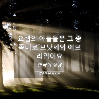 Picture 05 - 민수기 26:28 KOR - 요셉의 아들들은 그 종족대로 - Bible Verse Picture