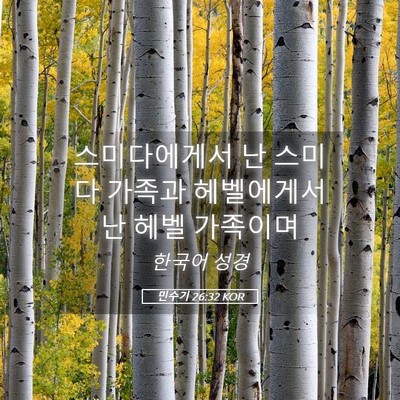 Picture 05 - 민수기 26:32 KOR - 스미다에게서 난 스미다 가족과 - Bible Verse Picture