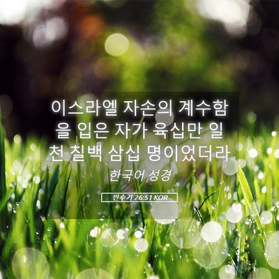 Picture 05 - 민수기 26:51 KOR - 이스라엘 자손의 계수함을 입은 자가 - Bible Verse Picture