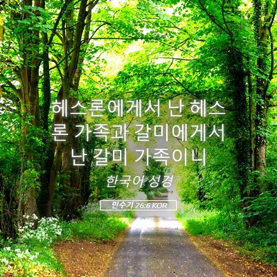Picture 05 - 민수기 26:6 KOR - 헤스론에게서 난 헤스론 가족과 - Bible Verse Picture