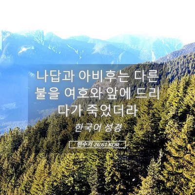 Picture 05 - 민수기 26:61 KOR - 나답과 아비후는 다른 불을 여호와 - Bible Verse Picture
