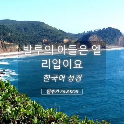 Picture 05 - 민수기 26:8 KOR - 발루의 아들은 - Bible Verse Picture