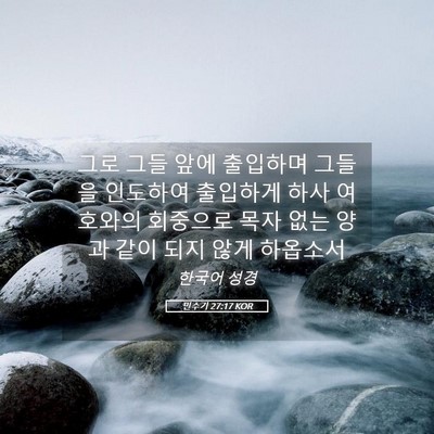 Picture 05 - 민수기 27:17 KOR - 그로 그들 앞에 출입하며 그들을 - Bible Verse Picture