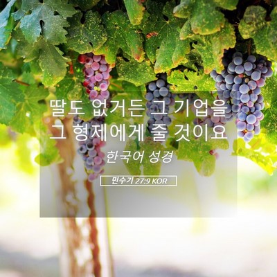Picture 05 - 민수기 27:9 KOR - 딸도 없거든 그 기업을 그 형제에게 - Bible Verse Picture