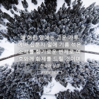Picture 05 - 민수기 28:13 KOR - 매 어린 양에는 고운 가루 에바 - Bible Verse Picture
