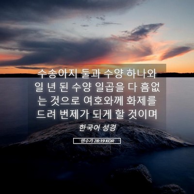 Picture 05 - 민수기 28:19 KOR - 수송아지 둘과 수양 하나와 일 년 된 - Bible Verse Picture