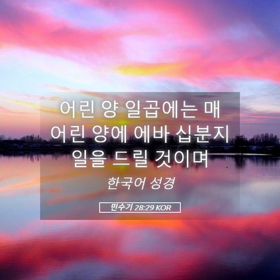 Picture 05 - 민수기 28:29 KOR - 어린 양 일곱에는 매 어린 양에 에바 - Bible Verse Picture