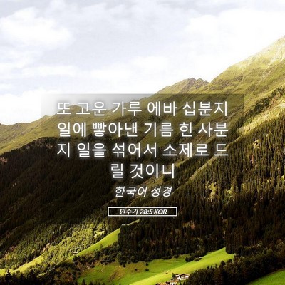 Picture 05 - 민수기 28:5 KOR - 또 고운 가루 에바 십분지 일에 - Bible Verse Picture