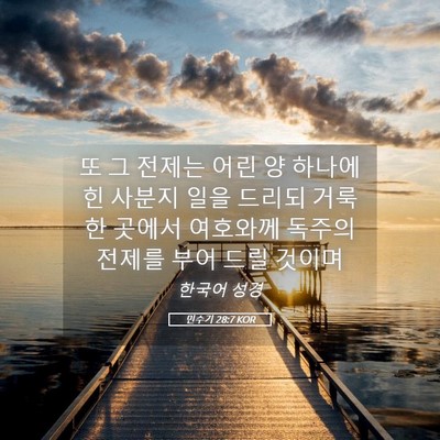 Picture 05 - 민수기 28:7 KOR - 또 그 전제는 어린 양 하나에 힌 - Bible Verse Picture