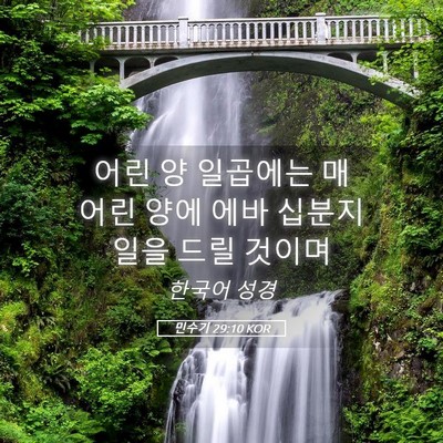 Picture 05 - 민수기 29:10 KOR - 어린 양 일곱에는 매 어린 양에 에바 - Bible Verse Picture