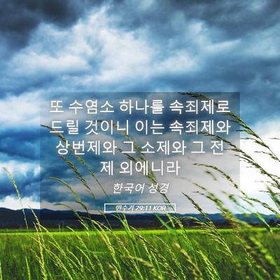 Picture 05 - 민수기 29:11 KOR - 또 수염소 하나를 속죄제로 드릴 - Bible Verse Picture