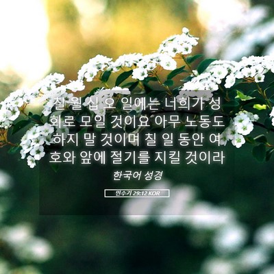 Picture 05 - 민수기 29:12 KOR - 칠 월 십 오 일에는 너희가 성회로 - Bible Verse Picture