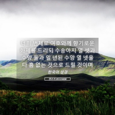 Picture 05 - 민수기 29:13 KOR - 너희 번제로 여호와께 향기로운 - Bible Verse Picture