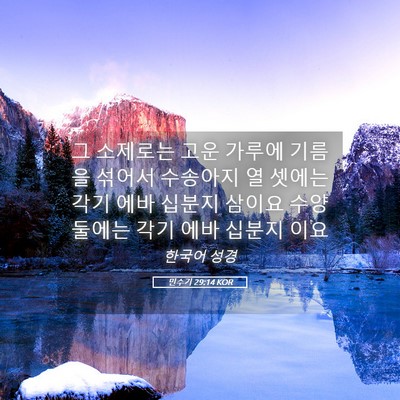 Picture 05 - 민수기 29:14 KOR - 그 소제로는 고운 가루에 기름을 - Bible Verse Picture