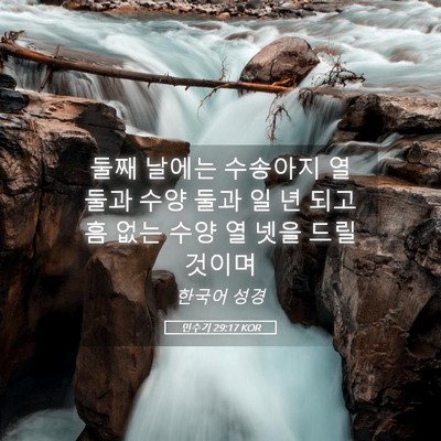 Picture 05 - 민수기 29:17 KOR - 둘째 날에는 수송아지 열 둘과 수양 - Bible Verse Picture