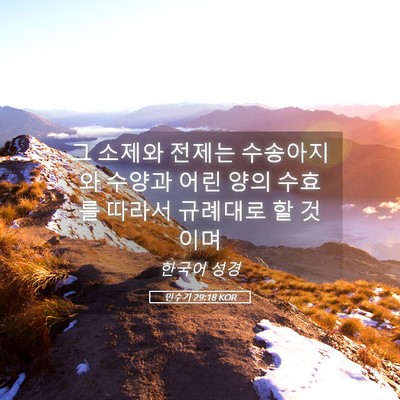 Picture 05 - 민수기 29:18 KOR - 그 소제와 전제는 수송아지와 수양과 - Bible Verse Picture