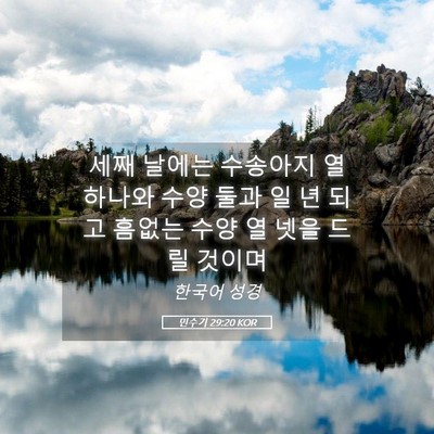 Picture 05 - 민수기 29:20 KOR - 세째 날에는 수송아지 열 하나와 - Bible Verse Picture