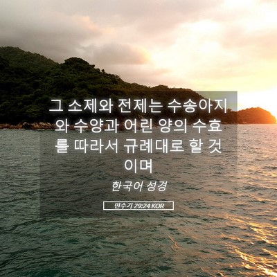 Picture 05 - 민수기 29:24 KOR - 그 소제와 전제는 수송아지와 수양과 - Bible Verse Picture